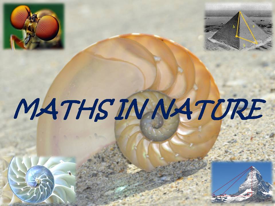 MATHEMATICS IN NATURE : Exploring Mathematics In Nature World